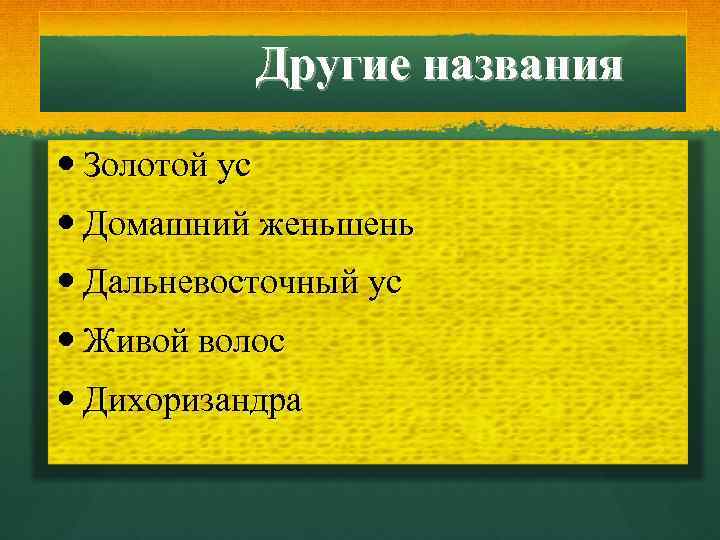  Другие названия Золотой ус Домашний женьшень Дальневосточный ус Живой волос Дихоризандра 