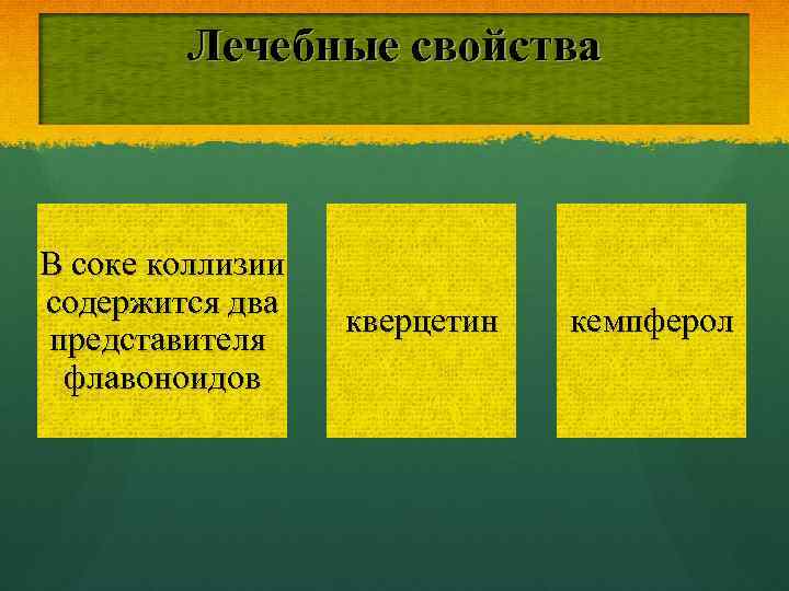 Лечебные свойства В соке коллизии содержится два представителя флавоноидов кверцетин кемпферол 