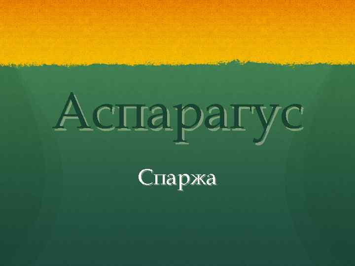 Аспарагус Спаржа 
