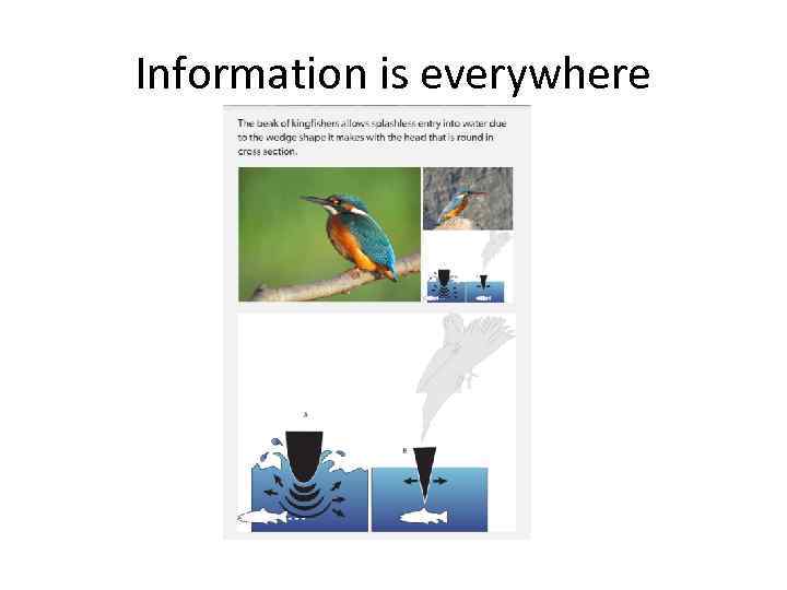 Information is everywhere 