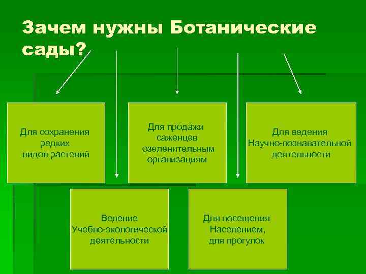 Зачем нужны Ботанические сады? Для сохранения редких видов растений Для продажи саженцев озеленительным организациям