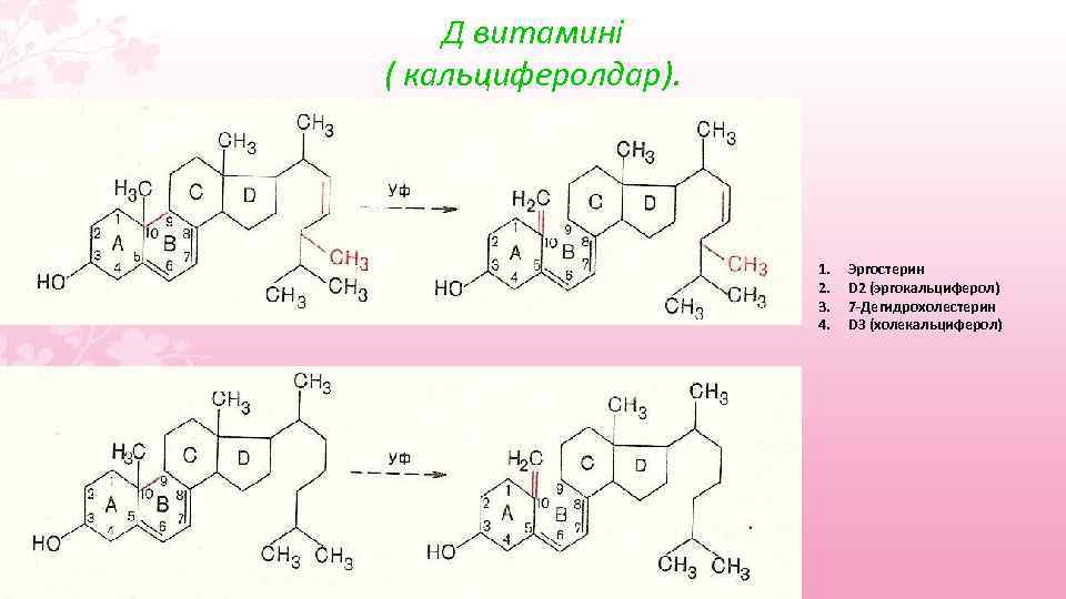 Д витамині ( кальциферолдар). 1. 2. 3. 4. Эргостерин D 2 (эргокальциферол) 7 -Дегидрохолестерин