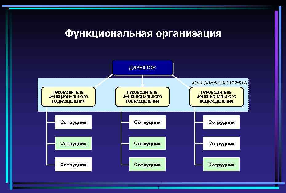 Функциональная организация ДИРЕКТОР КООРДИНАЦИЯ ПРОЕКТА РУКОВОДИТЕЛЬ ФУНКЦИОНАЛЬНОГО ПОДРАЗДЕЛЕНИЯ Сотрудник Сотрудник Сотрудник 