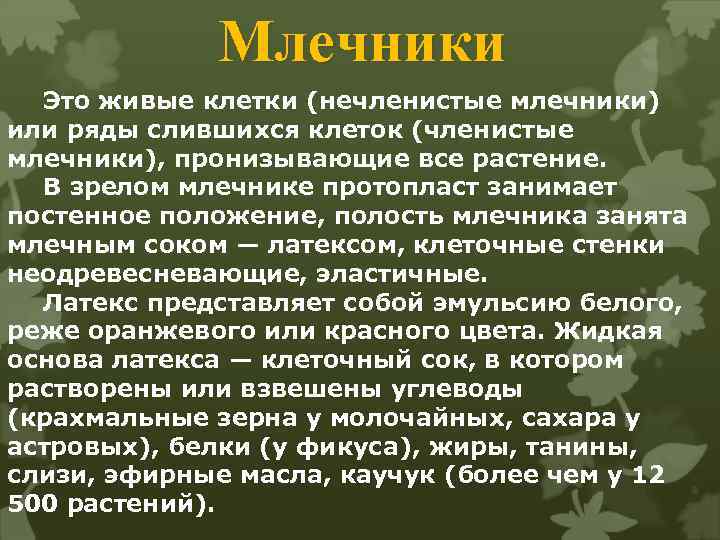 Млечники Это живые клетки (нечленистые млечники) или ряды слившихся клеток (членистые млечники), пронизывающие все