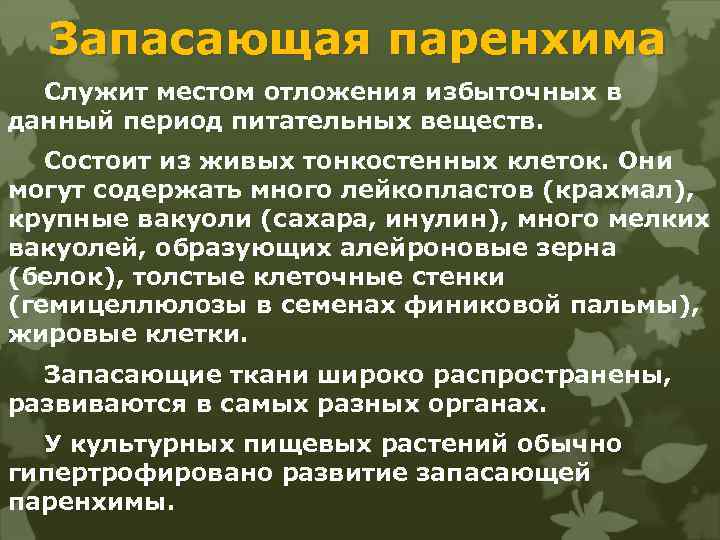 Запасающая паренхима Служит местом отложения избыточных в данный период питательных веществ. Состоит из живых