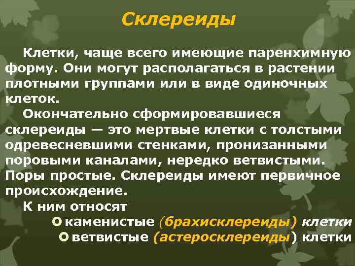 Склереиды Клетки, чаще всего имеющие паренхимную форму. Они могут располагаться в растении плотными группами