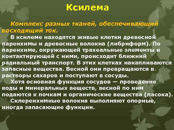 Ксилема Комплекс разных тканей, обеспечивающий восходящий ток. В ксилеме находятся живые клетки древесной паренхимы