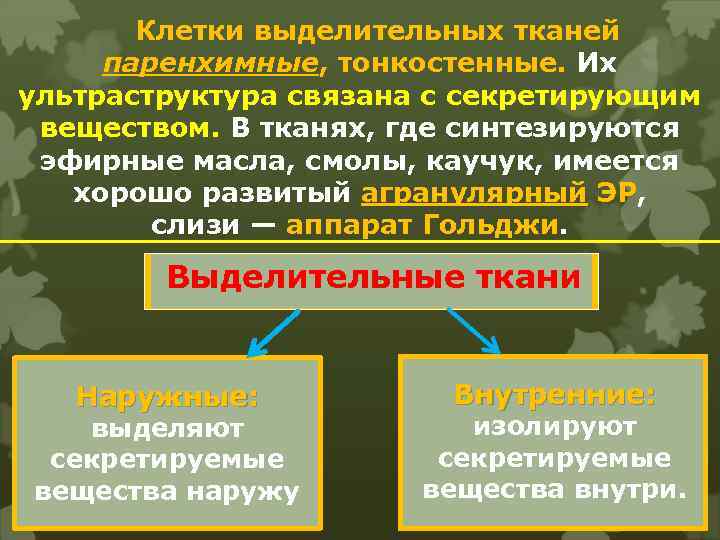 Клетки выделительных тканей паренхимные, тонкостенные. Их ультраструктура связана с секретирующим веществом. В тканях, где