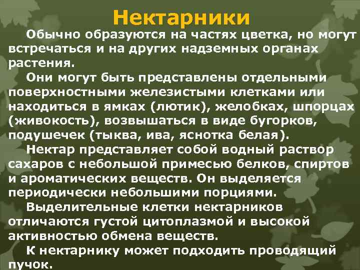 Нектарники Обычно образуются на частях цветка, но могут встречаться и на других надземных органах