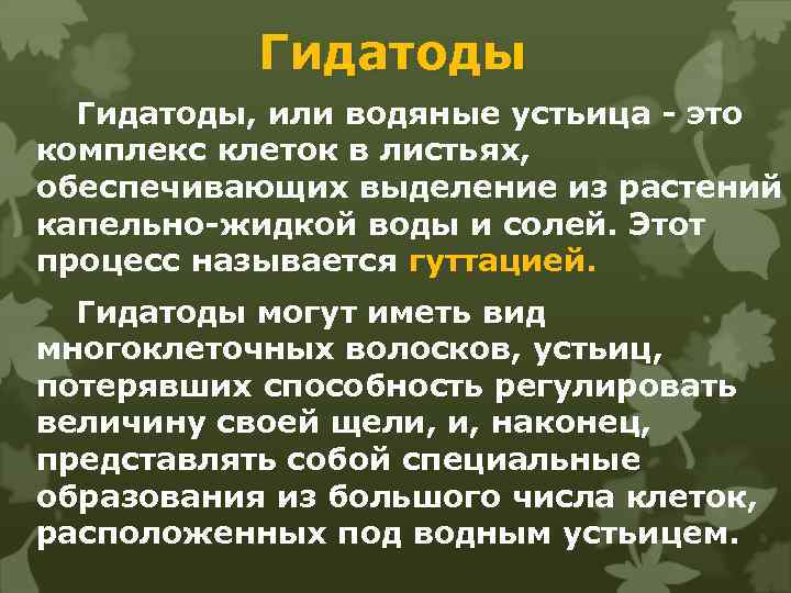 Гидатоды, или водяные устьица - это комплекс клеток в листьях, обеспечивающих выделение из растений