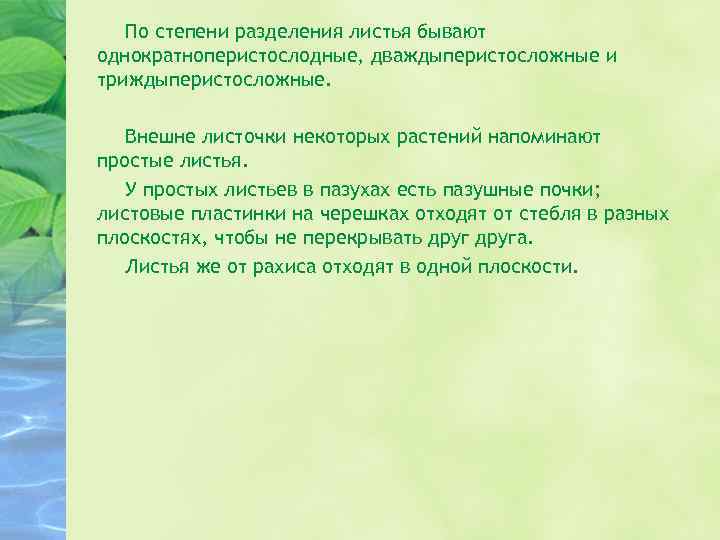 По степени разделения листья бывают однократноперистослодные, дваждыперистосложные и триждыперистосложные. Внешне листочки некоторых растений напоминают