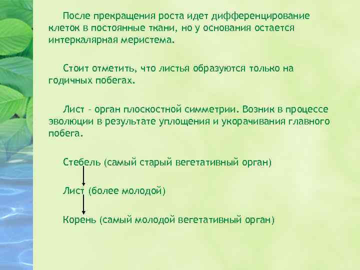 После прекращения роста идет дифференцирование клеток в постоянные ткани, но у основания остается интеркалярная