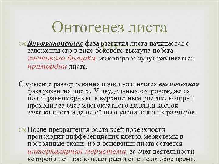 Онтогенез листа Внутрипочечная фаза развития листа начинается с заложения его в виде бокового выступа