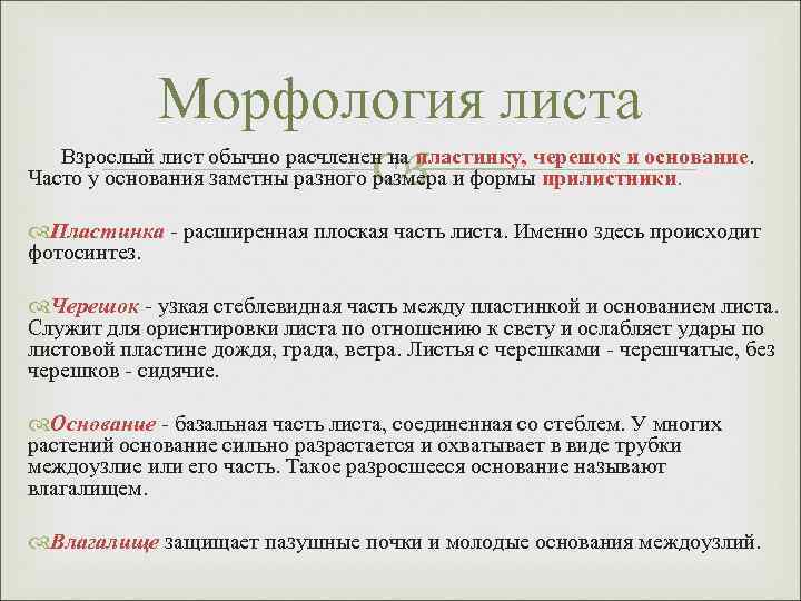 Морфология листа Взрослый лист обычно расчленен на пластинку, черешок и основание. Часто у основания