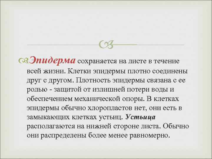  Эпидерма сохраняется на листе в течение всей жизни. Клетки эпидермы плотно соединены друг