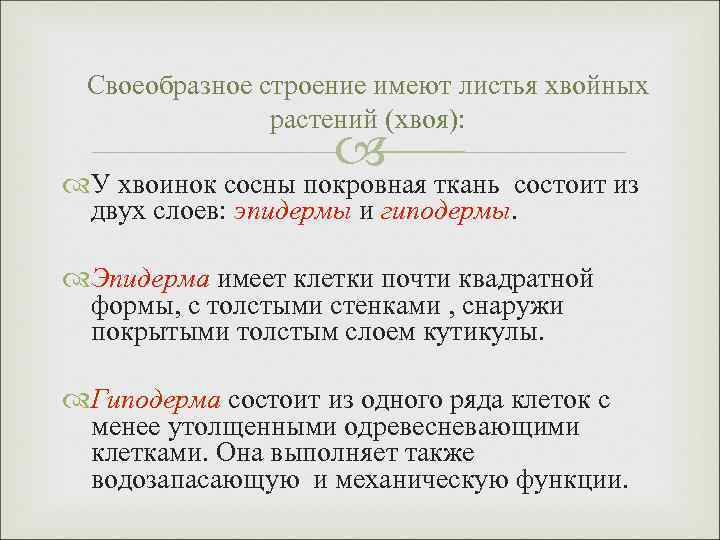 Своеобразное строение имеют листья хвойных растений (хвоя): У хвоинок сосны покровная ткань состоит из