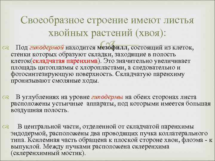 Своеобразное строение имеют листья хвойных растений (хвоя): Под гиподермой находится мезофилл, состоящий из клеток,