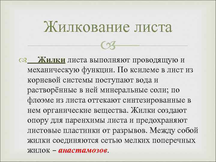 Жилкование листа Жилки листа выполняют проводящую и механическую функции. По ксилеме в лист из
