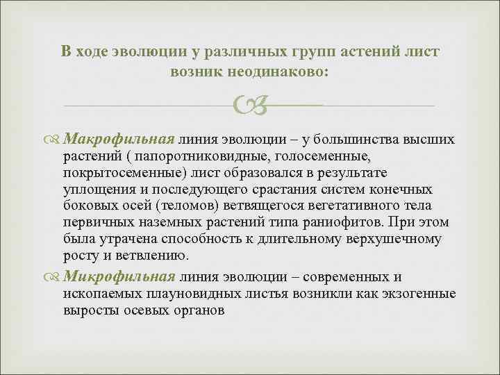 В ходе эволюции у различных групп астений лист возник неодинаково: Макрофильная линия эволюции –