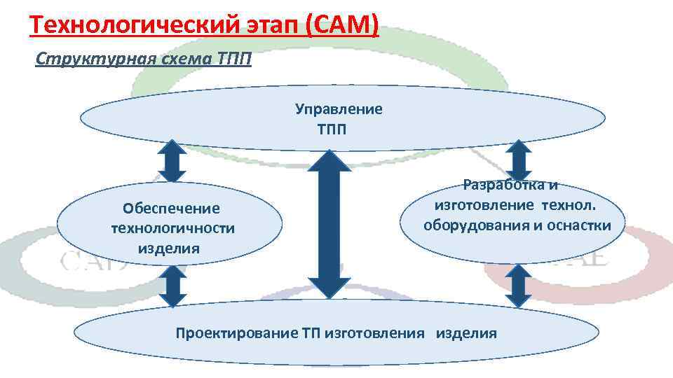 Технологический этап (CAM) Структурная схема ТПП Управление ТПП Разработка Обеспечение технологичности изделия и изготовление