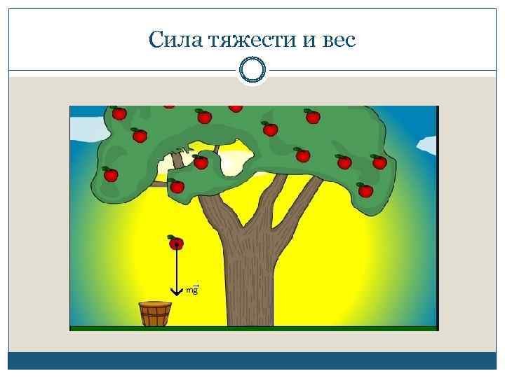 Сила тяжести и вес 