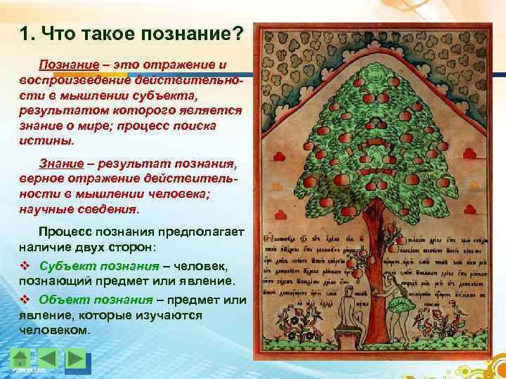 1. Что такое познание? Познание – это отражение и воспроизведение действительности в мышлении субъекта,