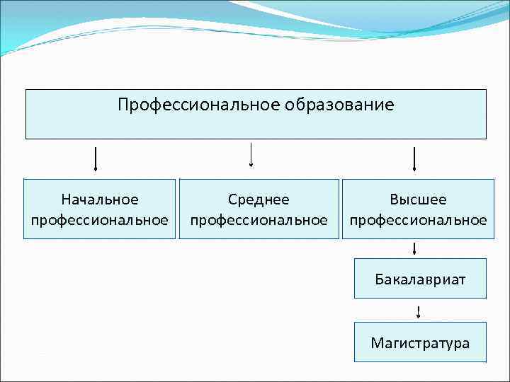 Профессиональное образование Начальное профессиональное Среднее профессиональное Высшее профессиональное Бакалавриат Магистратура 