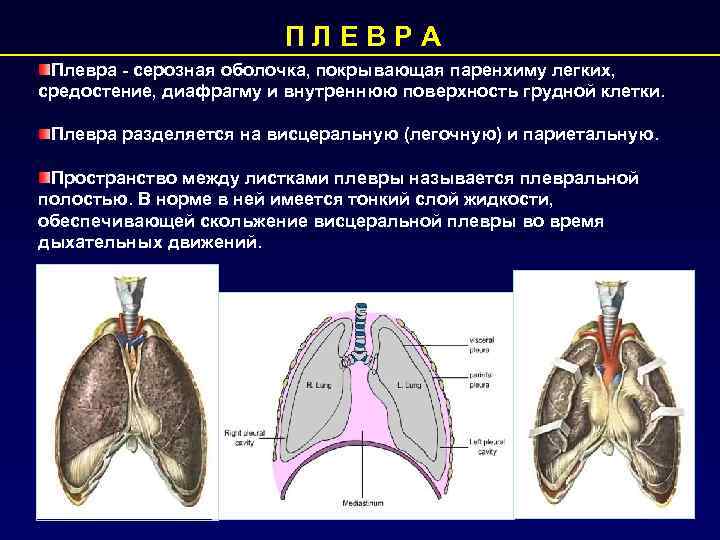 Какая карта покрывает другую