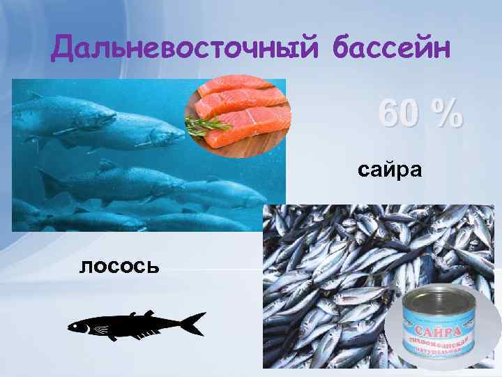 Дальневосточный бассейн 60 % сайра лосось 