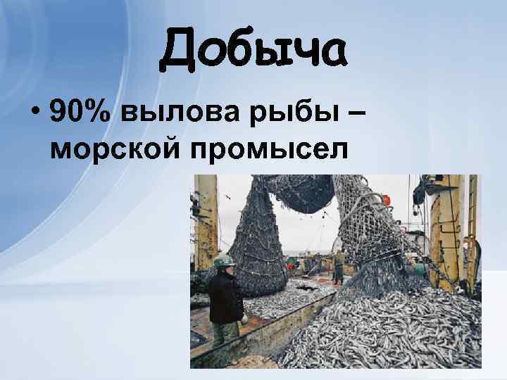 Добыча • 90% вылова рыбы – морской промысел 