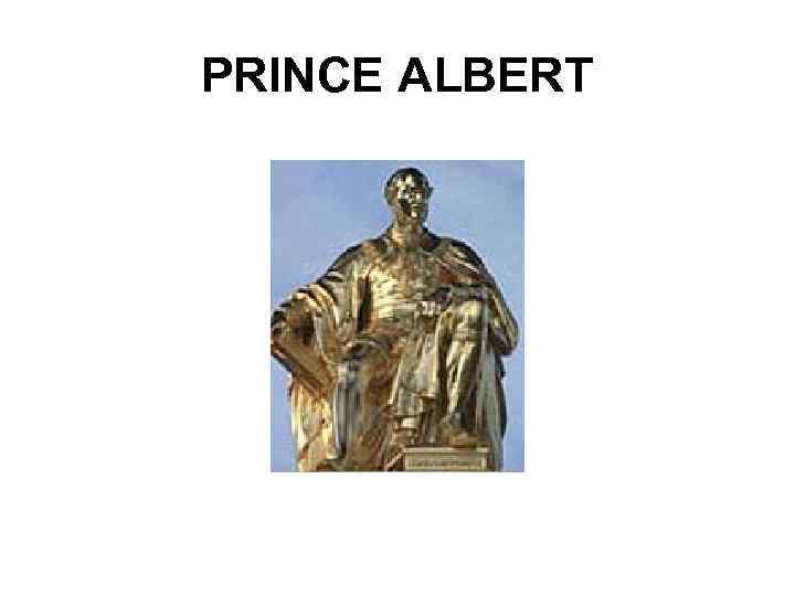 PRINCE ALBERT 