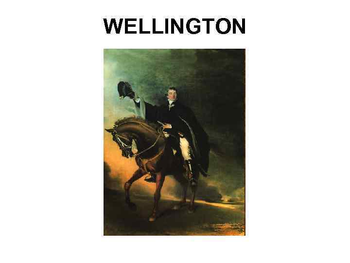 WELLINGTON 