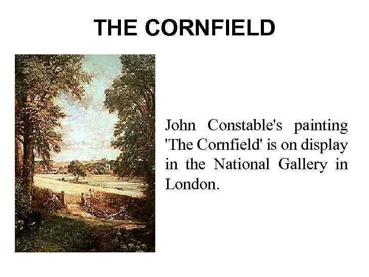 THE CORNFIELD John Constable's painting 'The Cornfield' is on display in the National Gallery