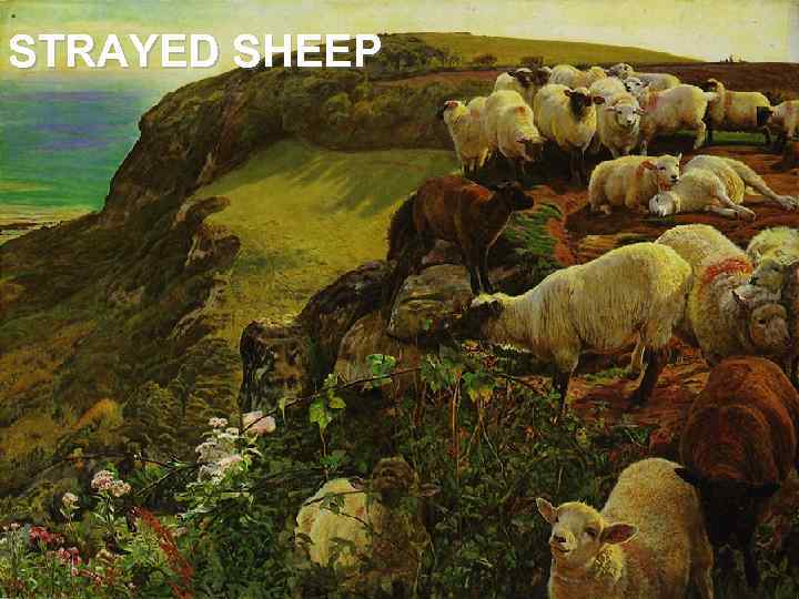 STRAYED SHEEP 