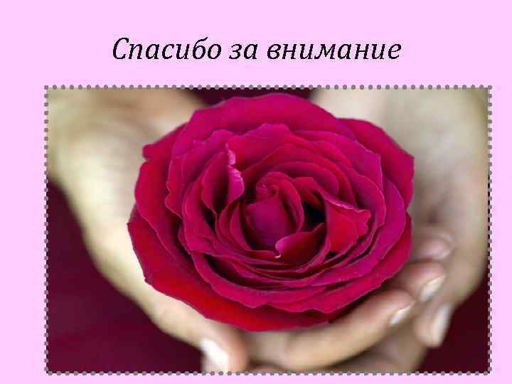 Спасибо за внимание 