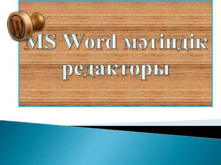 MS Word мәтіндік редакторы 