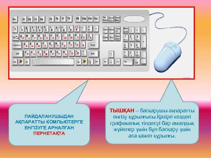 ПАЙДАЛАНУШЫДАН АҚПАРАТТЫ КОМПЬЮТЕРГЕ ЕНГІЗУГЕ АРНАЛҒАН ПЕРНЕТАҚТА ТЫШҚАН – басқарушы ақпаратты енгізу құрылғысы. Қазіргі кездегі