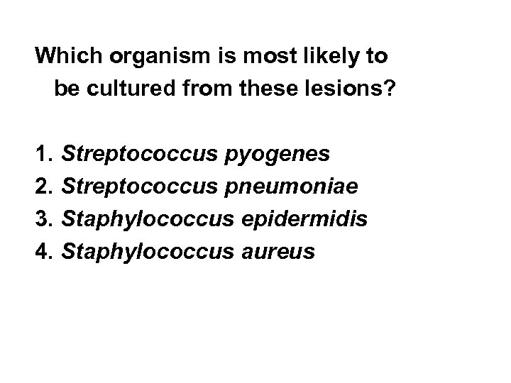 Which organism is most likely to be cultured from these lesions? 1. Streptococcus pyogenes