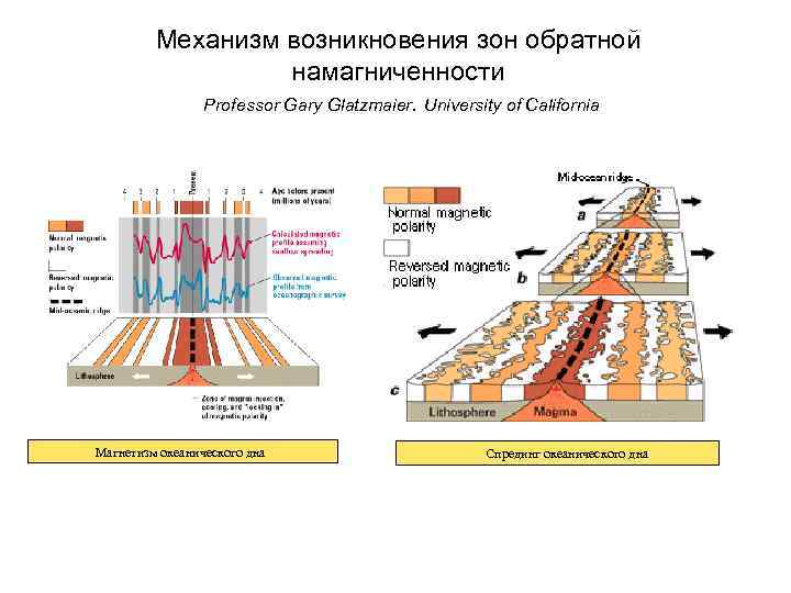 Механизм возникновения зон обратной намагниченности Рrofessor Gary Glatzmaier. University of California Магнетизм океанического дна