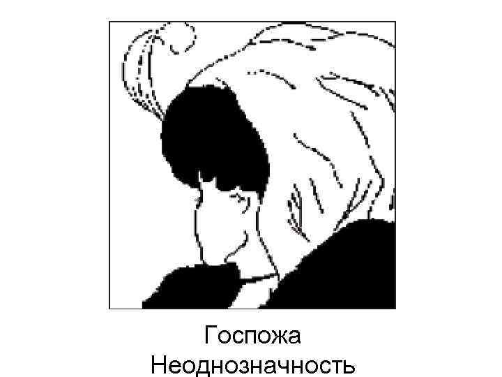 Госпожа Неоднозначность 