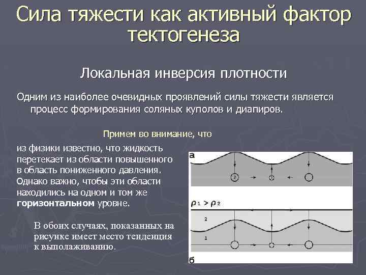 Сила тяжести как активный фактор тектогенеза Локальная инверсия плотности Одним из наиболее очевидных проявлений