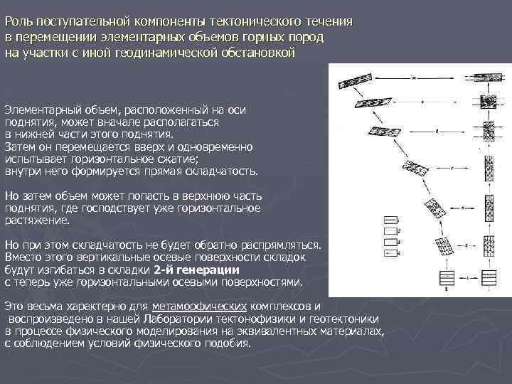 Роль поступательной компоненты тектонического течения в перемещении элементарных объемов горных пород на участки с