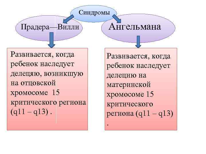 Синдромы Прадера—Вилли Развивается, когда ребенок наследует делецяю, возникшую на отцовской хромосоме 15 критического региона