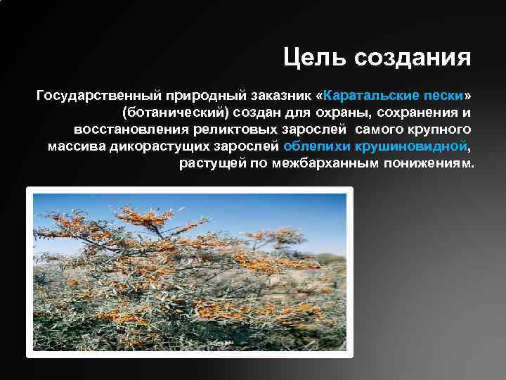 Цель создания Государственный природный заказник «Каратальские пески» (ботанический) создан для охраны, сохранения и восстановления