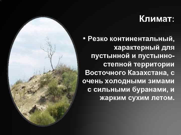 Климат: • Резко континентальный, характерный для пустынной и пустынностепной территории Восточного Казахстана, с очень