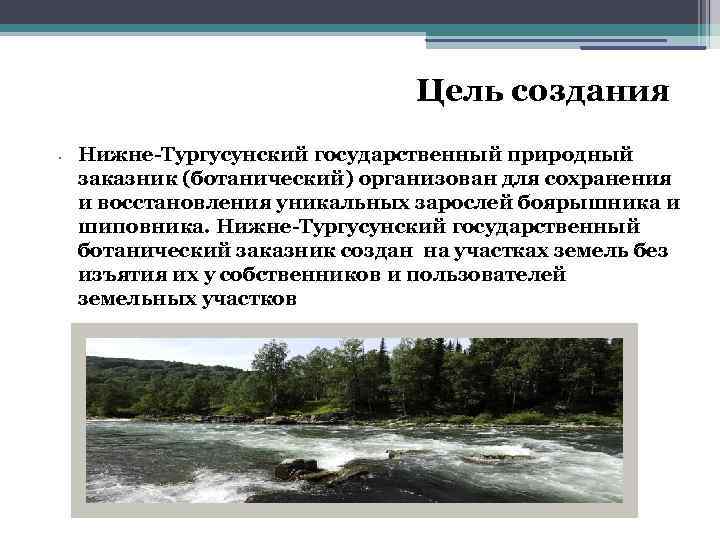 Цель создания • Нижне-Тургусунский государственный природный заказник (ботанический) организован для сохранения и восстановления уникальных