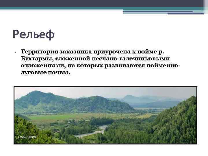 Рельеф • Территория заказника приурочена к пойме р. Бухтармы, сложенной песчано-галечниковыми отложениями, на которых