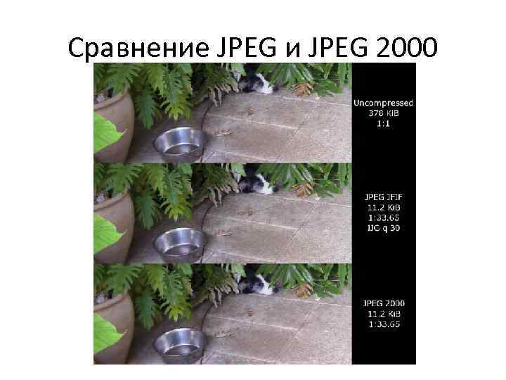 Сравнение JPEG и JPEG 2000 
