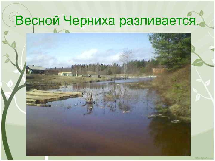 Весной Черниха разливается. 