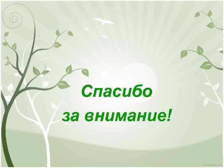 Спасибо за внимание! 